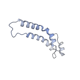 16184_8bqs_f_v1-0
Cryo-EM structure of the I-II-III2-IV2 respiratory supercomplex from Tetrahymena thermophila