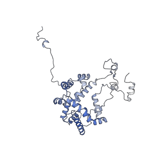 16184_8bqs_g_v1-0
Cryo-EM structure of the I-II-III2-IV2 respiratory supercomplex from Tetrahymena thermophila