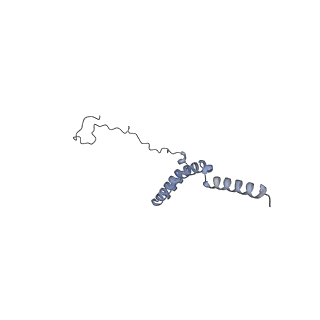 16184_8bqs_i_v1-0
Cryo-EM structure of the I-II-III2-IV2 respiratory supercomplex from Tetrahymena thermophila