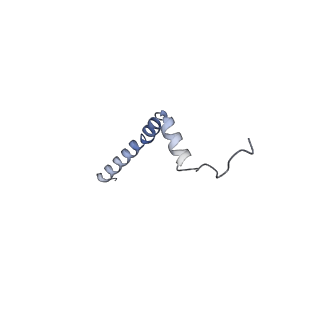 16184_8bqs_k_v1-0
Cryo-EM structure of the I-II-III2-IV2 respiratory supercomplex from Tetrahymena thermophila