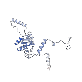 16191_8bqx_AA_v1-1
Yeast 80S ribosome in complex with Map1 (conformation 2)
