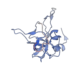 16191_8bqx_AB_v1-1
Yeast 80S ribosome in complex with Map1 (conformation 2)
