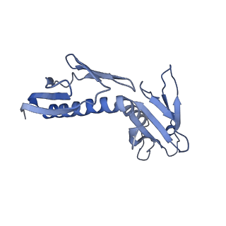 16191_8bqx_AD_v1-1
Yeast 80S ribosome in complex with Map1 (conformation 2)