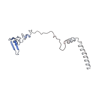 16191_8bqx_AE_v1-1
Yeast 80S ribosome in complex with Map1 (conformation 2)