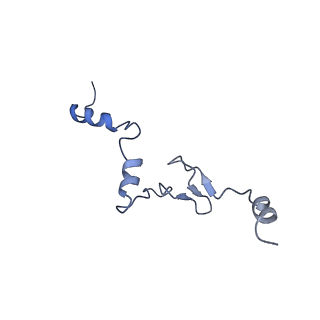 16191_8bqx_AF_v1-1
Yeast 80S ribosome in complex with Map1 (conformation 2)