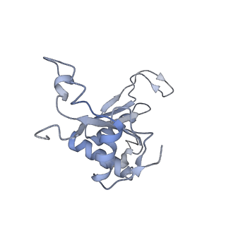 16191_8bqx_AG_v1-1
Yeast 80S ribosome in complex with Map1 (conformation 2)