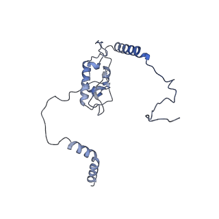 16191_8bqx_AJ_v1-1
Yeast 80S ribosome in complex with Map1 (conformation 2)