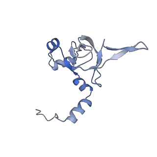 16191_8bqx_AK_v1-1
Yeast 80S ribosome in complex with Map1 (conformation 2)