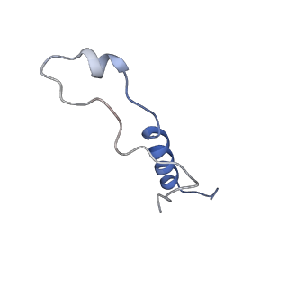 16191_8bqx_AL_v1-1
Yeast 80S ribosome in complex with Map1 (conformation 2)