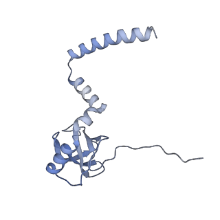 16191_8bqx_AM_v1-1
Yeast 80S ribosome in complex with Map1 (conformation 2)