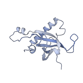 16191_8bqx_AN_v1-1
Yeast 80S ribosome in complex with Map1 (conformation 2)