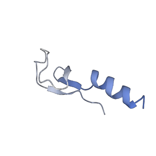 16191_8bqx_AO_v1-1
Yeast 80S ribosome in complex with Map1 (conformation 2)
