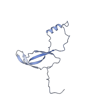 16191_8bqx_AP_v1-1
Yeast 80S ribosome in complex with Map1 (conformation 2)