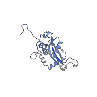 16191_8bqx_AQ_v1-1
Yeast 80S ribosome in complex with Map1 (conformation 2)