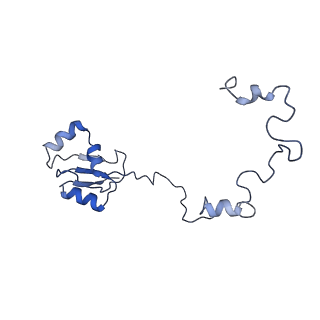 16191_8bqx_AR_v1-1
Yeast 80S ribosome in complex with Map1 (conformation 2)