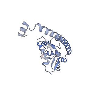 16191_8bqx_AU_v1-1
Yeast 80S ribosome in complex with Map1 (conformation 2)