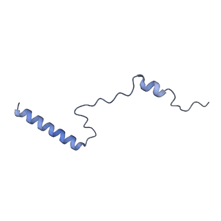 16191_8bqx_AV_v1-1
Yeast 80S ribosome in complex with Map1 (conformation 2)