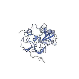 16191_8bqx_AW_v1-1
Yeast 80S ribosome in complex with Map1 (conformation 2)