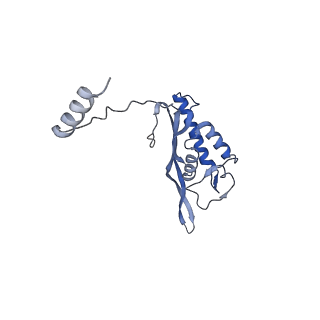 16191_8bqx_AX_v1-1
Yeast 80S ribosome in complex with Map1 (conformation 2)