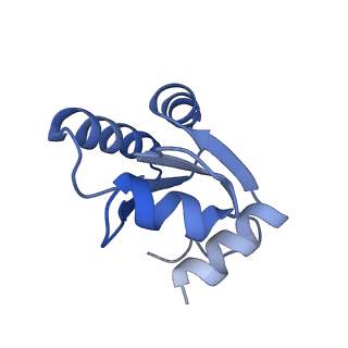 16191_8bqx_AY_v1-1
Yeast 80S ribosome in complex with Map1 (conformation 2)
