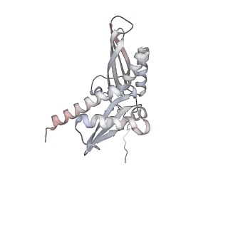 16191_8bqx_A_v1-1
Yeast 80S ribosome in complex with Map1 (conformation 2)