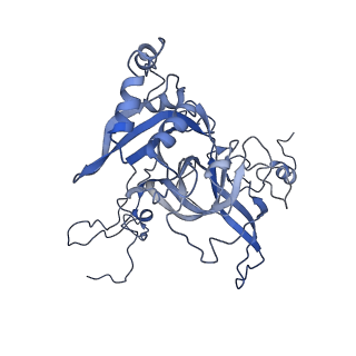 16191_8bqx_BA_v1-1
Yeast 80S ribosome in complex with Map1 (conformation 2)