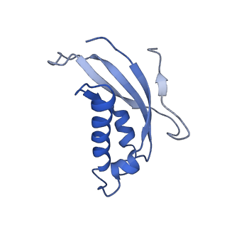 16191_8bqx_BC_v1-1
Yeast 80S ribosome in complex with Map1 (conformation 2)