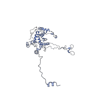 16191_8bqx_BE_v1-1
Yeast 80S ribosome in complex with Map1 (conformation 2)
