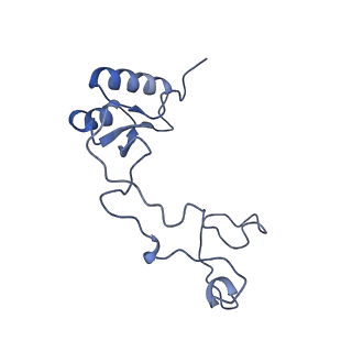 16191_8bqx_BG_v1-1
Yeast 80S ribosome in complex with Map1 (conformation 2)
