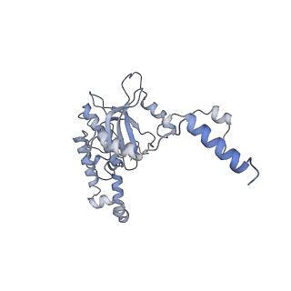 16191_8bqx_BI_v1-1
Yeast 80S ribosome in complex with Map1 (conformation 2)