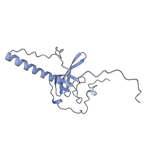 16191_8bqx_BJ_v1-1
Yeast 80S ribosome in complex with Map1 (conformation 2)