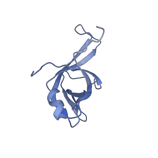 16191_8bqx_BK_v1-1
Yeast 80S ribosome in complex with Map1 (conformation 2)