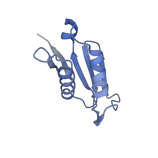 16191_8bqx_BL_v1-1
Yeast 80S ribosome in complex with Map1 (conformation 2)