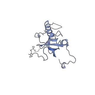 16191_8bqx_BM_v1-1
Yeast 80S ribosome in complex with Map1 (conformation 2)