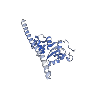 16191_8bqx_BO_v1-1
Yeast 80S ribosome in complex with Map1 (conformation 2)