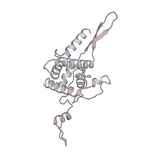 16191_8bqx_B_v1-1
Yeast 80S ribosome in complex with Map1 (conformation 2)