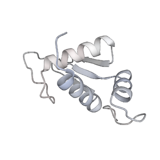 16191_8bqx_C_v1-1
Yeast 80S ribosome in complex with Map1 (conformation 2)