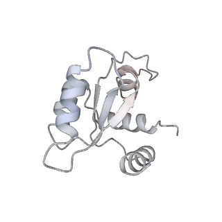 16191_8bqx_D_v1-1
Yeast 80S ribosome in complex with Map1 (conformation 2)