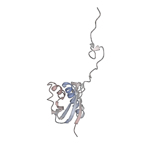 16191_8bqx_F_v1-1
Yeast 80S ribosome in complex with Map1 (conformation 2)
