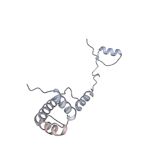 16191_8bqx_G_v1-1
Yeast 80S ribosome in complex with Map1 (conformation 2)
