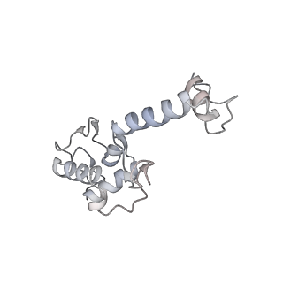 16191_8bqx_H_v1-1
Yeast 80S ribosome in complex with Map1 (conformation 2)