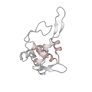 16191_8bqx_I_v1-1
Yeast 80S ribosome in complex with Map1 (conformation 2)