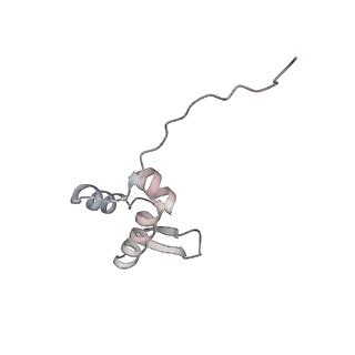 16191_8bqx_K_v1-1
Yeast 80S ribosome in complex with Map1 (conformation 2)