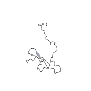 16191_8bqx_N_v1-1
Yeast 80S ribosome in complex with Map1 (conformation 2)