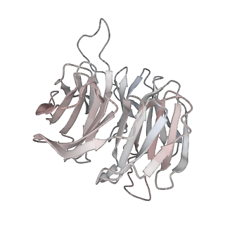 16191_8bqx_O_v1-1
Yeast 80S ribosome in complex with Map1 (conformation 2)