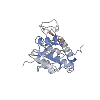 16191_8bqx_P_v1-1
Yeast 80S ribosome in complex with Map1 (conformation 2)
