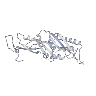 16191_8bqx_Q_v1-1
Yeast 80S ribosome in complex with Map1 (conformation 2)