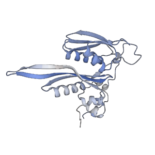 16191_8bqx_R_v1-1
Yeast 80S ribosome in complex with Map1 (conformation 2)
