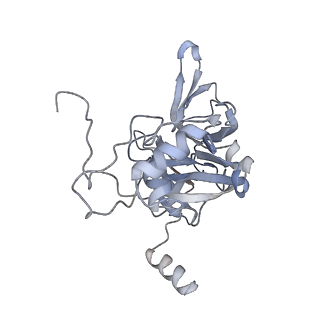 16191_8bqx_S_v1-1
Yeast 80S ribosome in complex with Map1 (conformation 2)