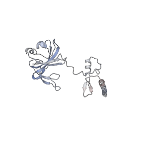 16191_8bqx_T_v1-1
Yeast 80S ribosome in complex with Map1 (conformation 2)
